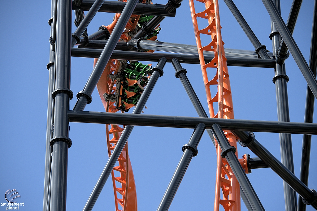 Tigris