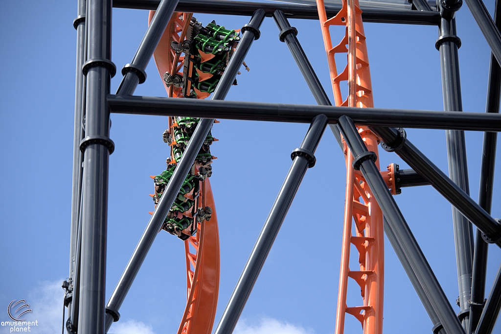 Tigris