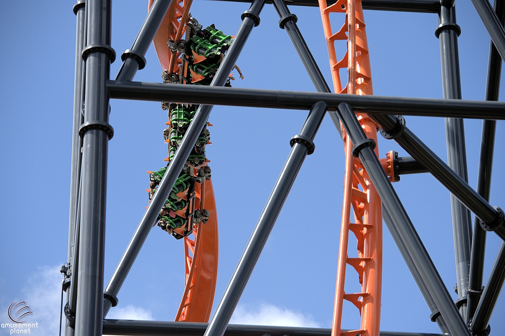 Tigris