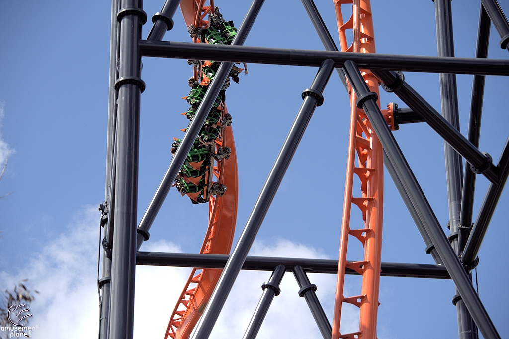 Tigris