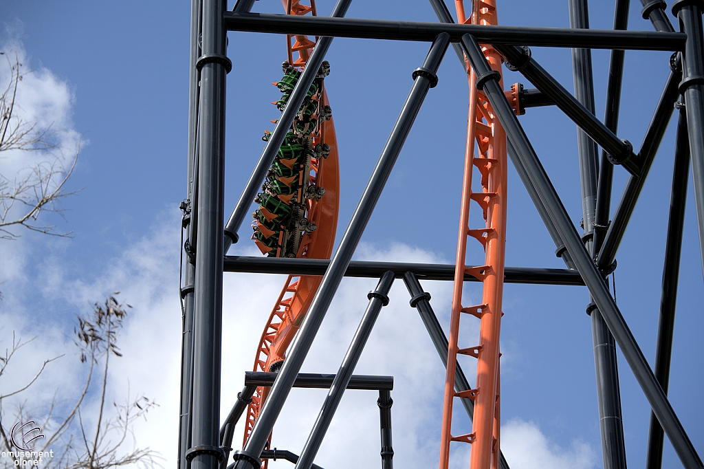 Tigris