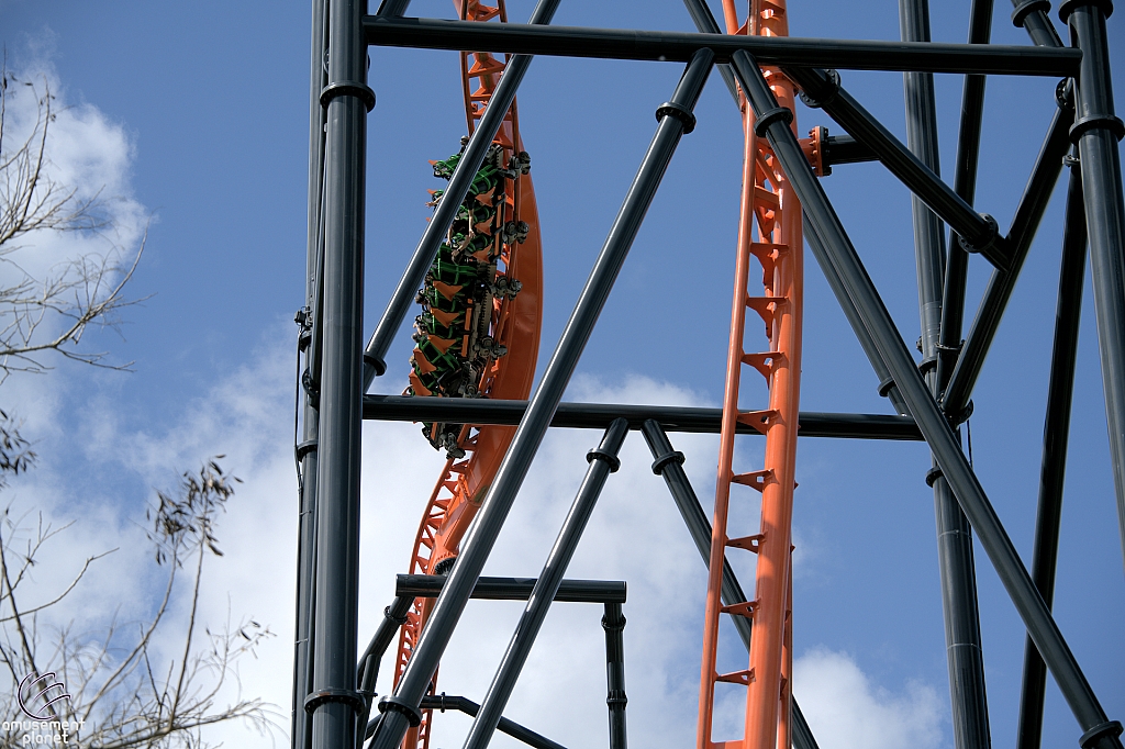 Tigris