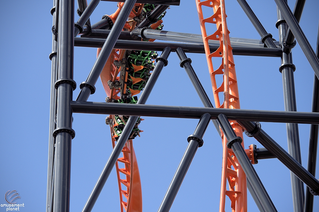 Tigris