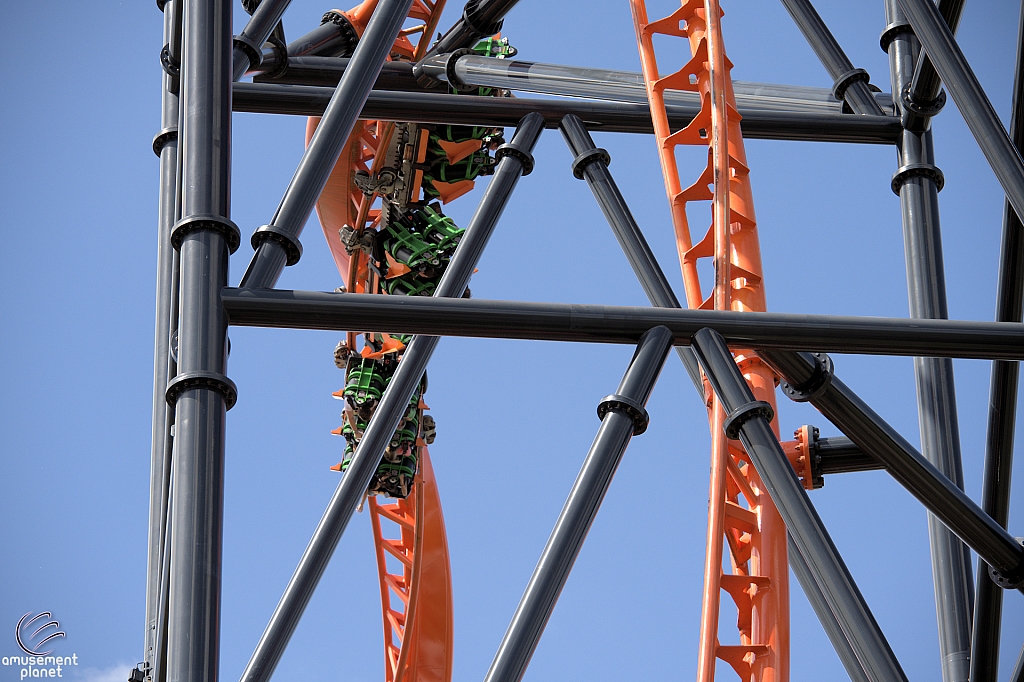 Tigris