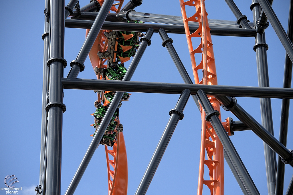 Tigris