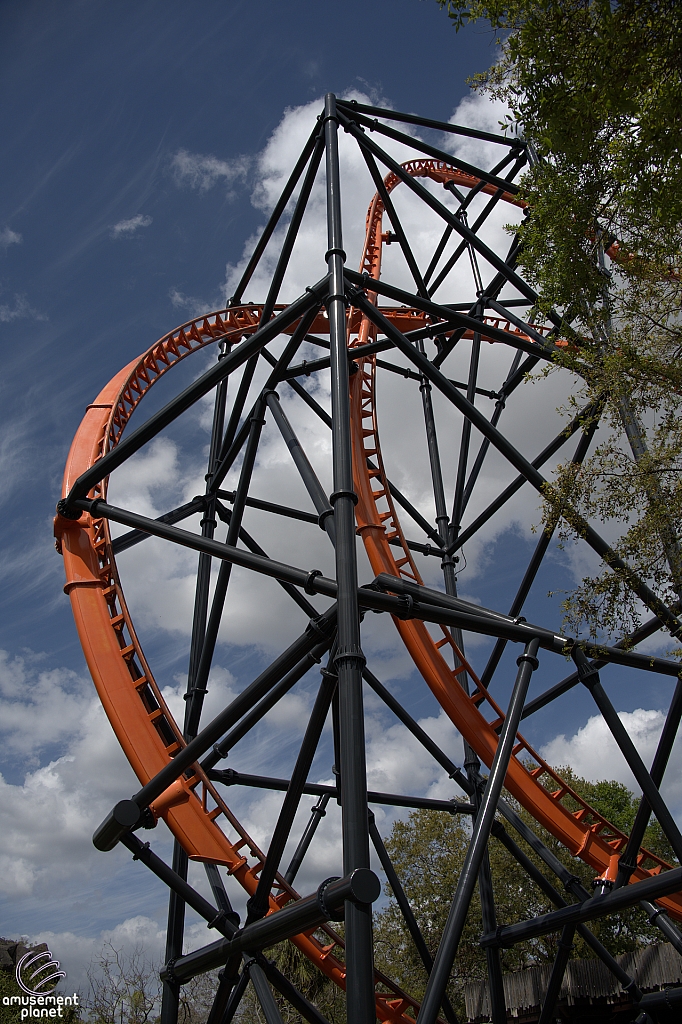 Tigris