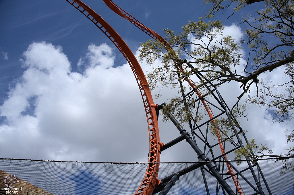 Tigris