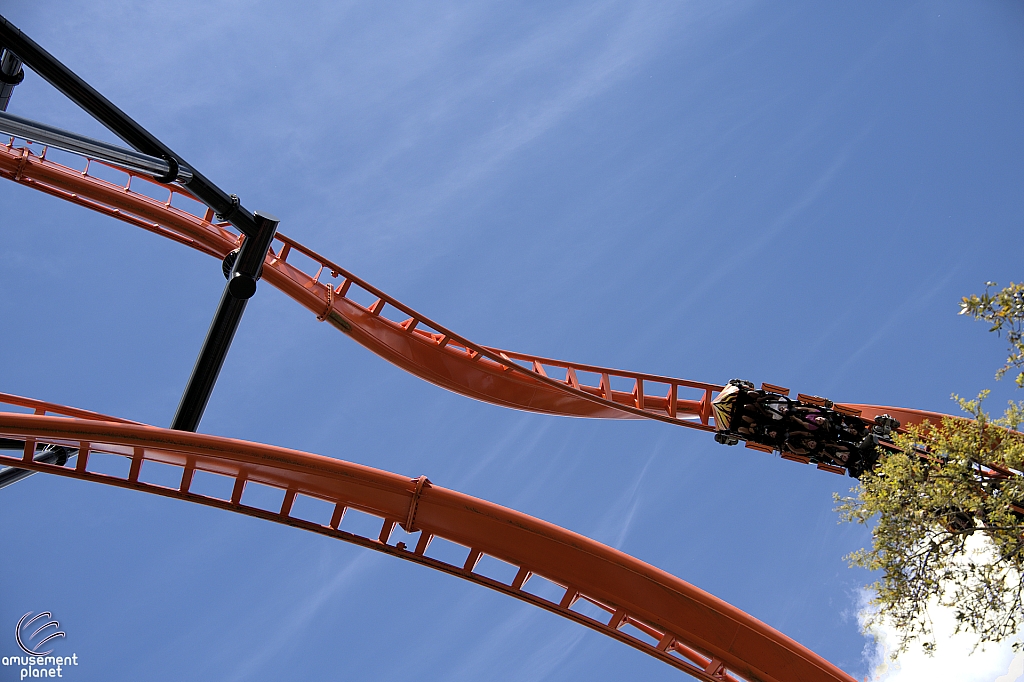 Tigris
