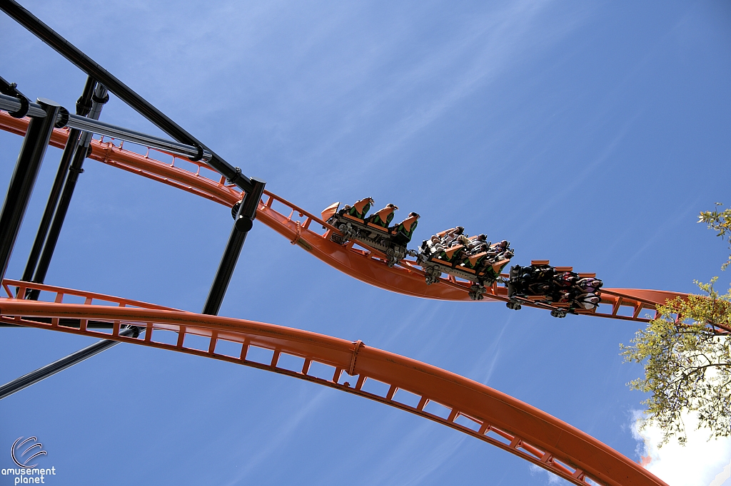 Tigris