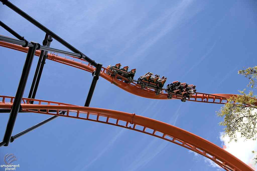 Tigris