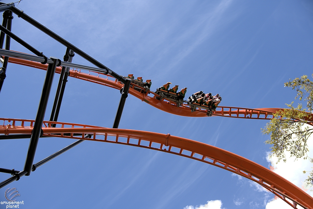 Tigris