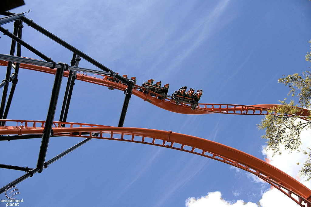 Tigris