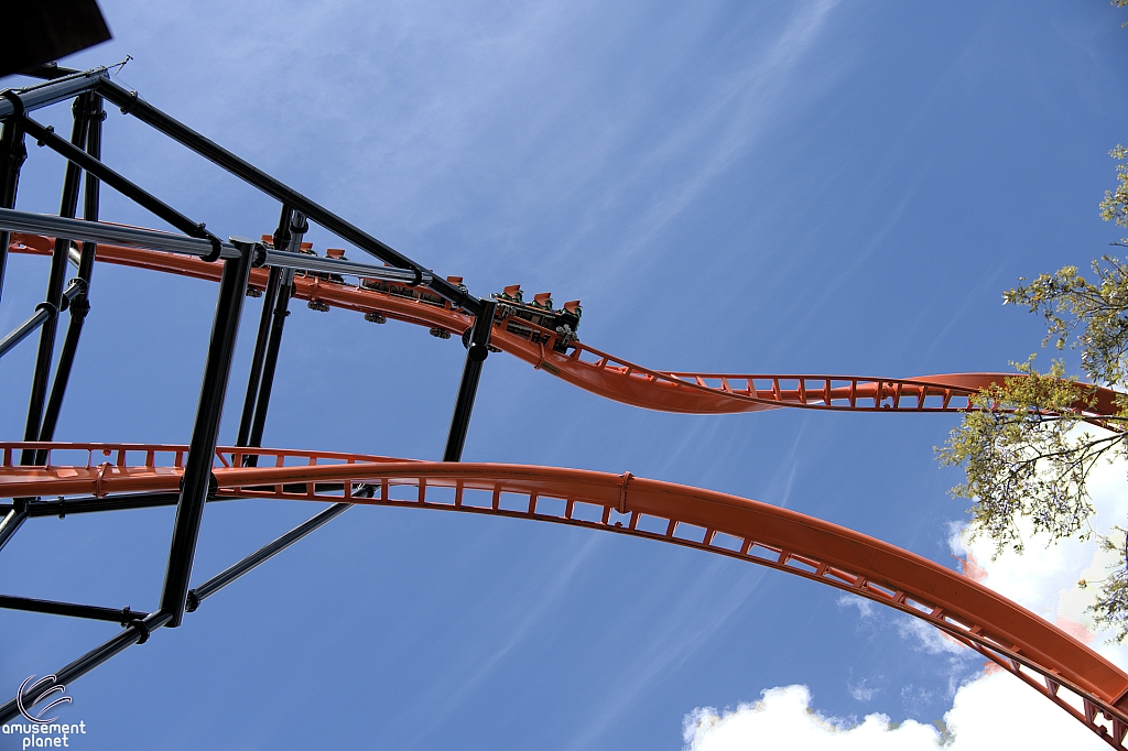 Tigris