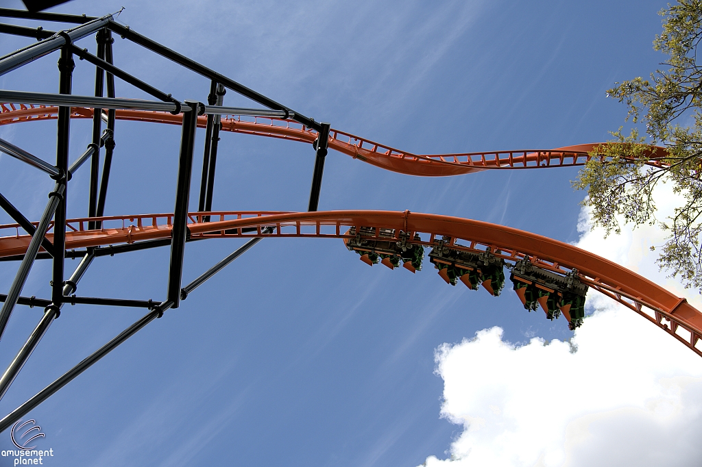 Tigris