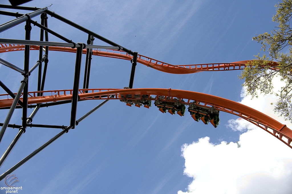 Tigris