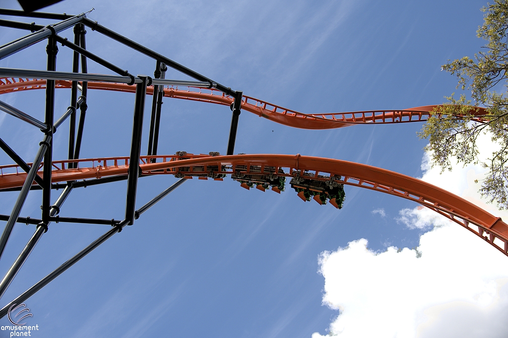 Tigris