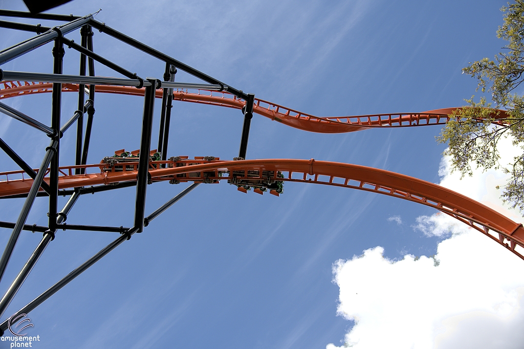 Tigris