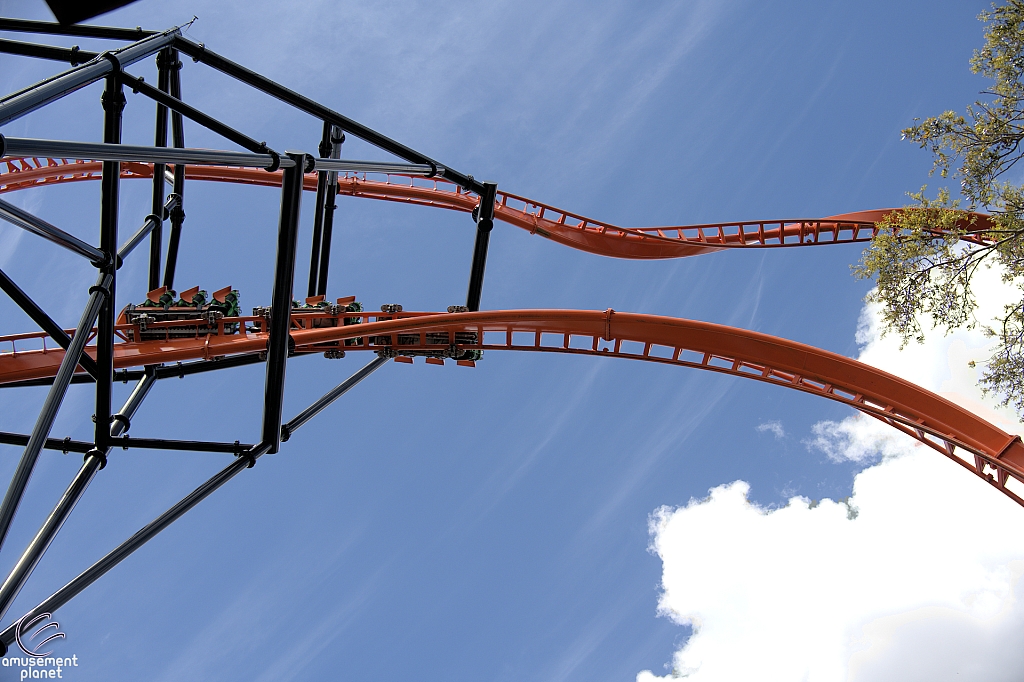 Tigris
