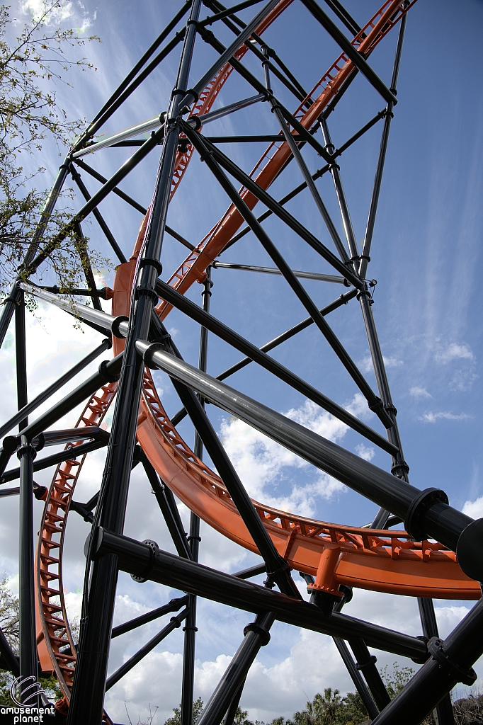 Tigris