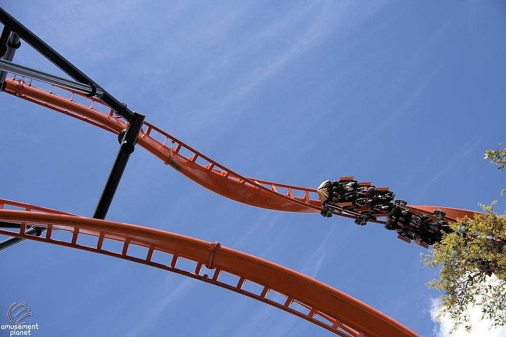 Tigris