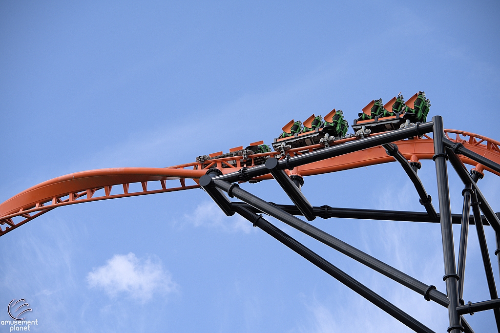 Tigris