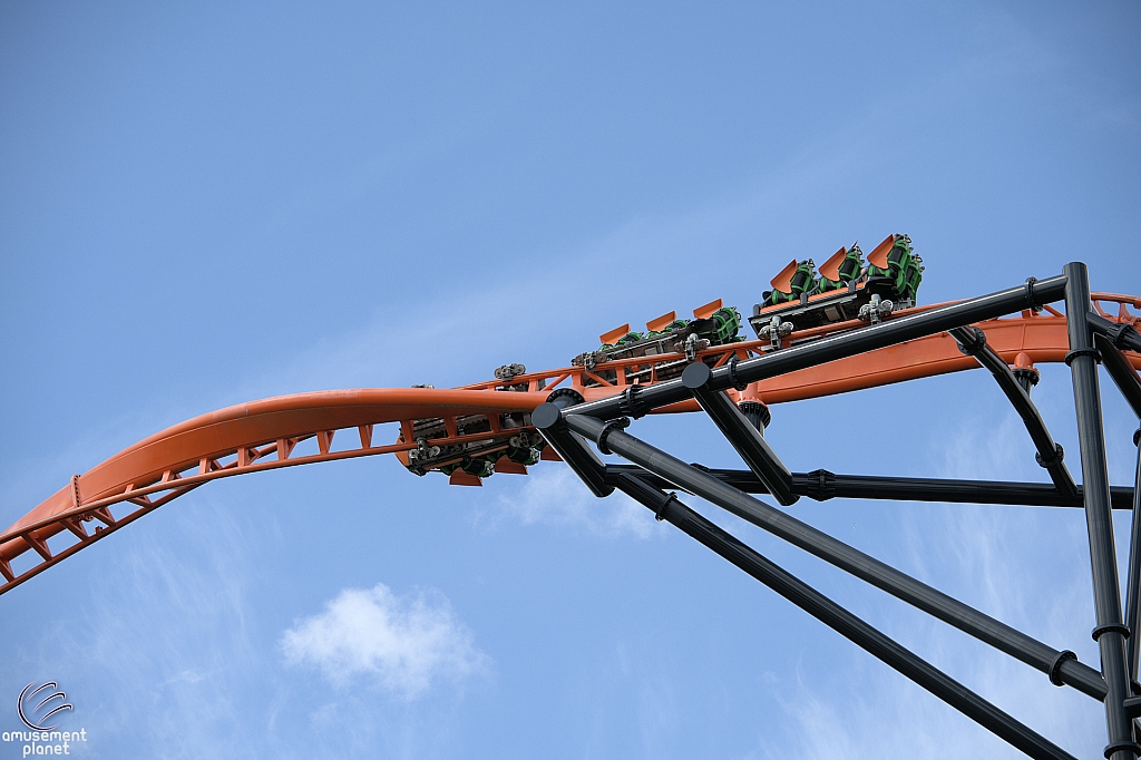 Tigris