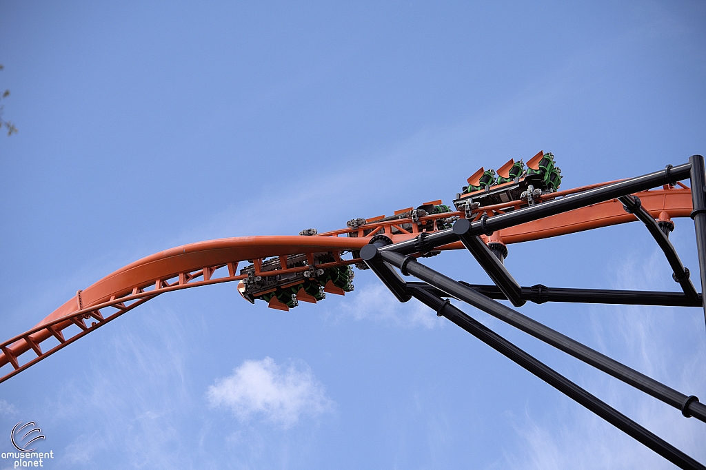 Tigris