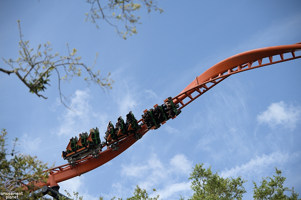 Tigris