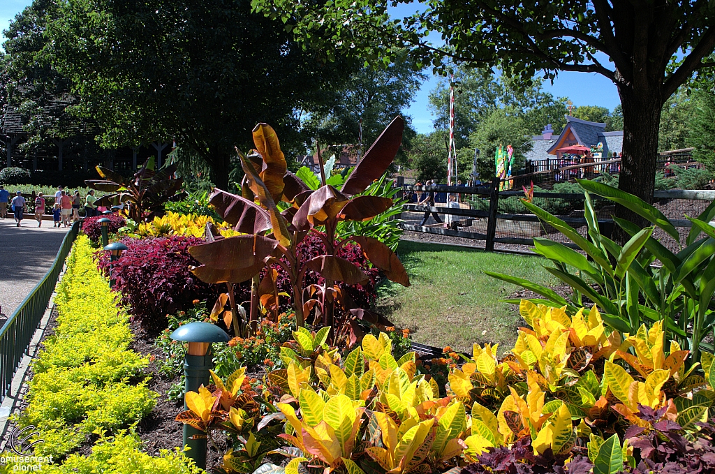 Busch Gardens Williamsburg