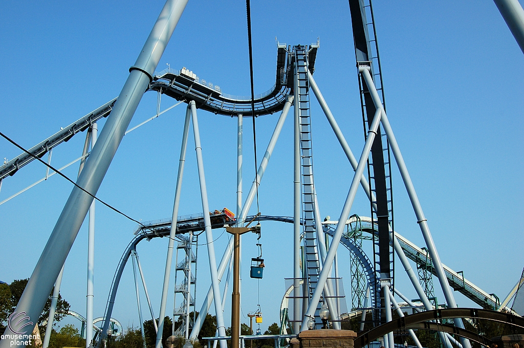 Griffon