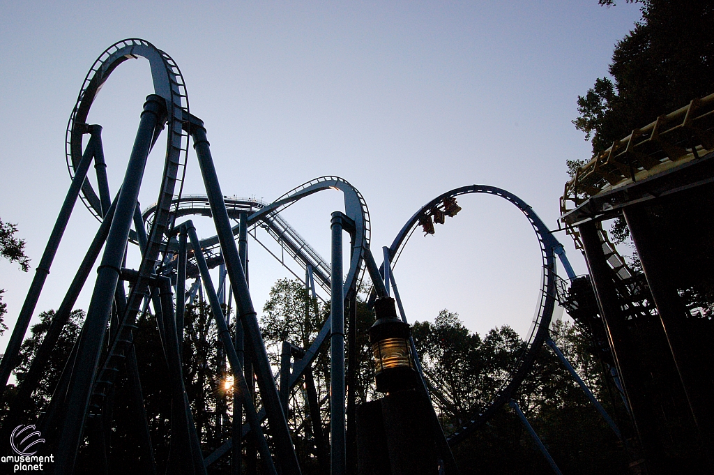 Griffon