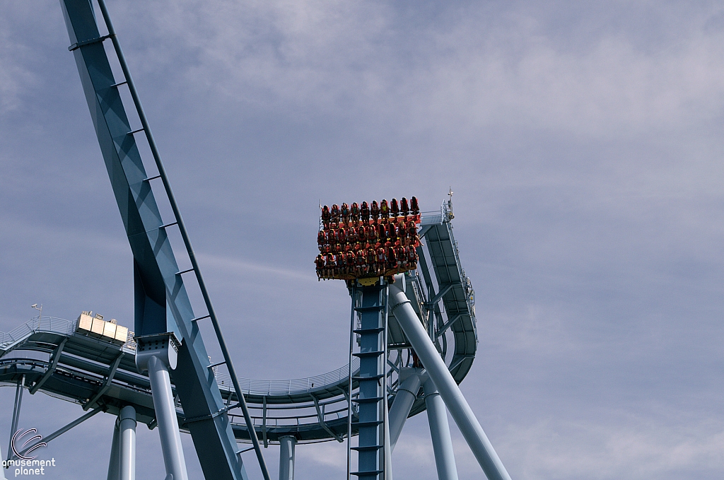 Griffon