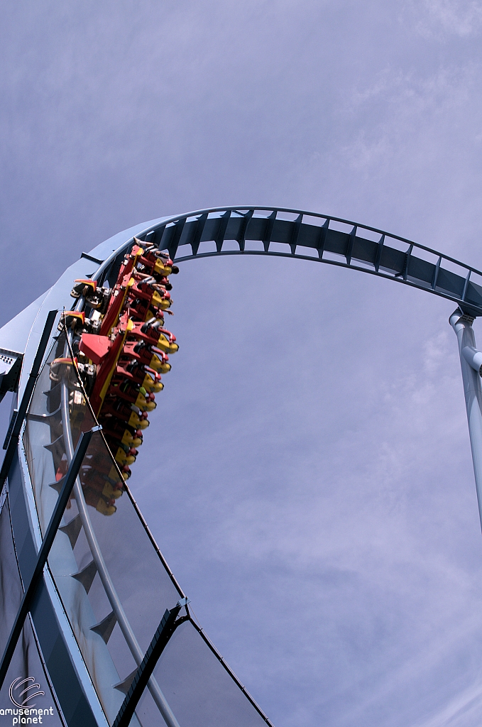 Griffon