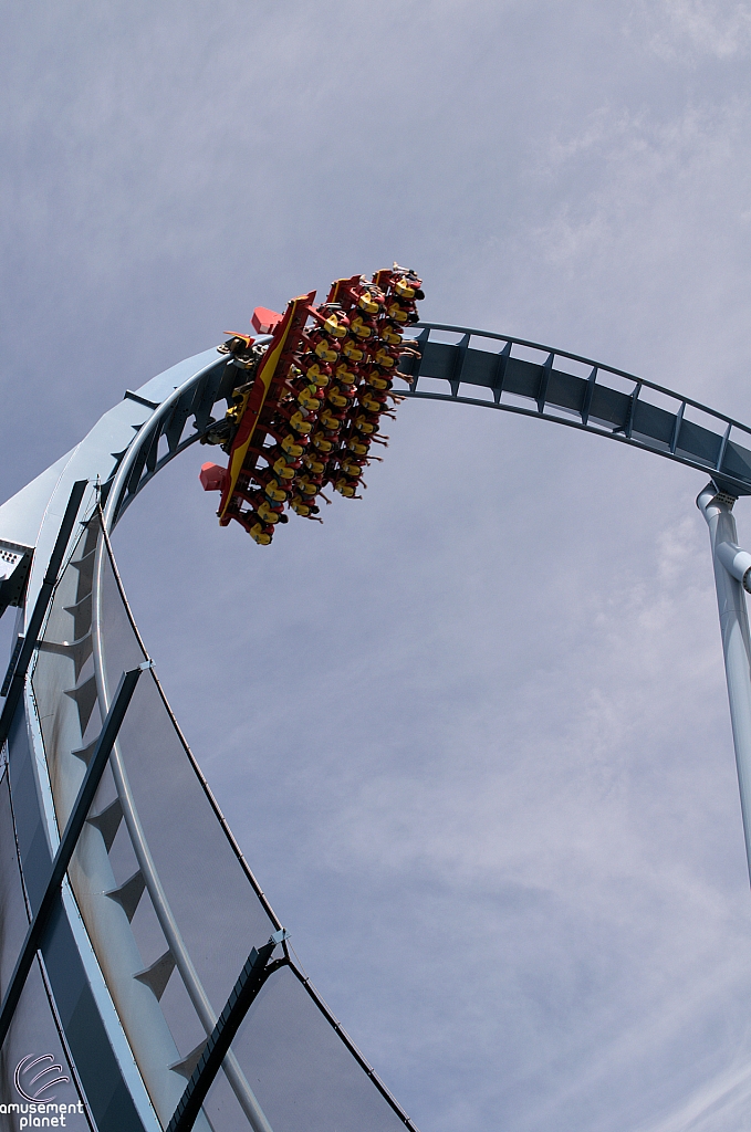 Griffon