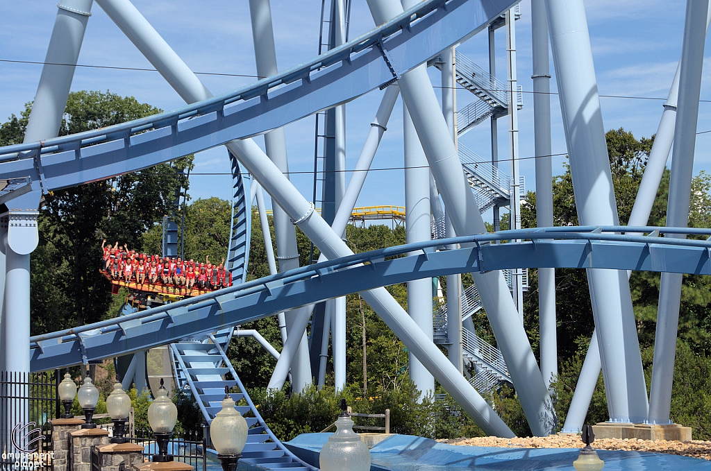 Griffon