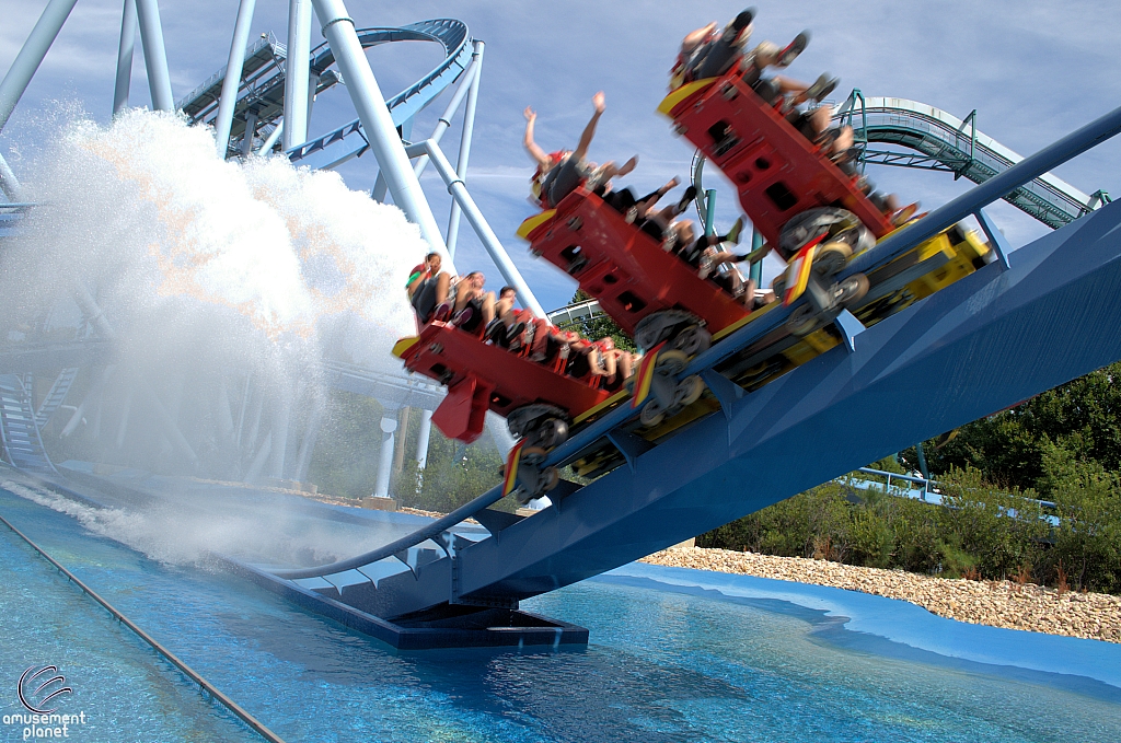 Griffon