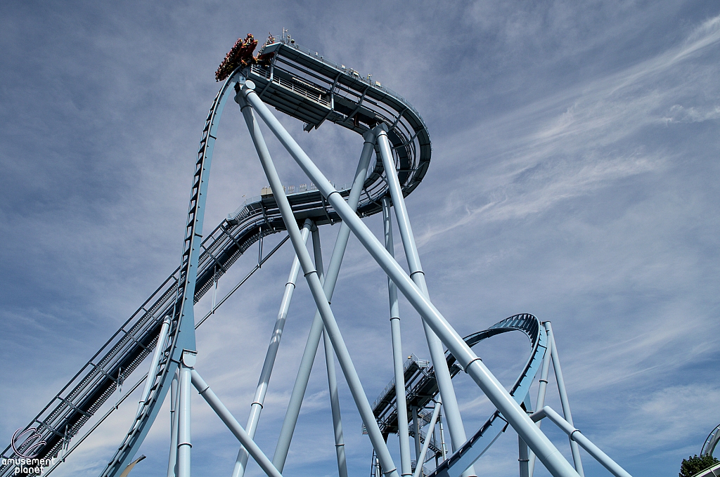 Griffon