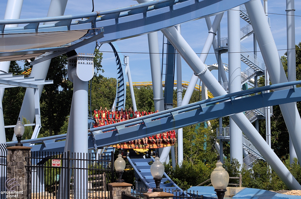 Griffon