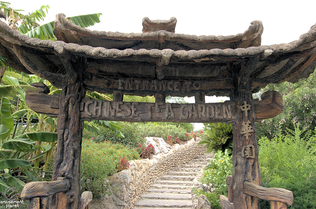 San Antonio Japanese Tea Garden