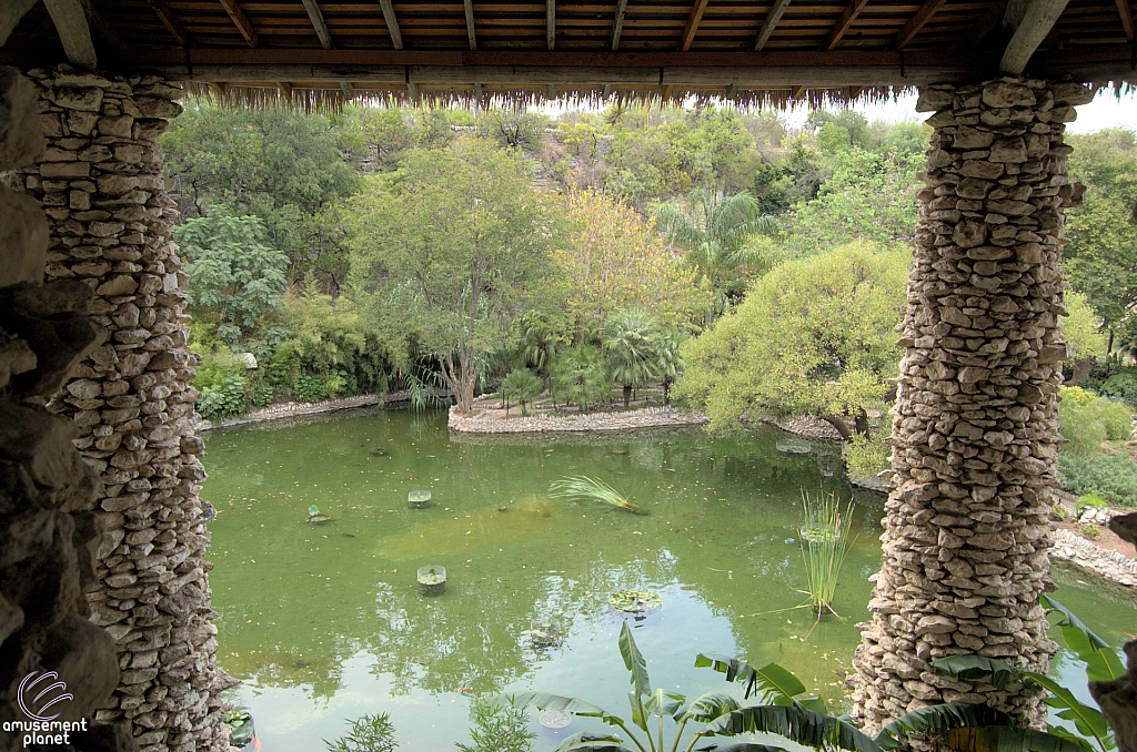 San Antonio Japanese Tea Garden