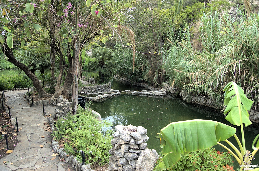 San Antonio Japanese Tea Garden