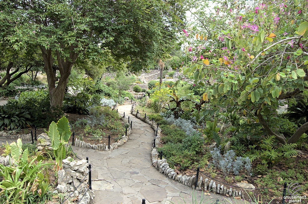 San Antonio Japanese Tea Garden