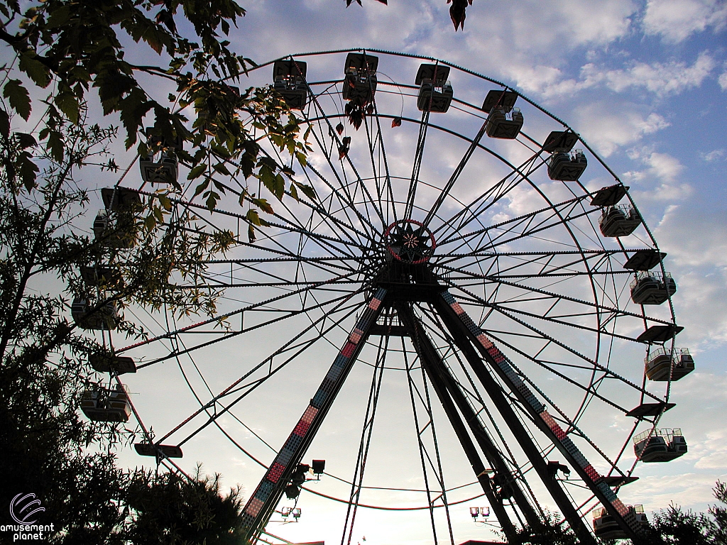 Electric Star Ferris Wheel