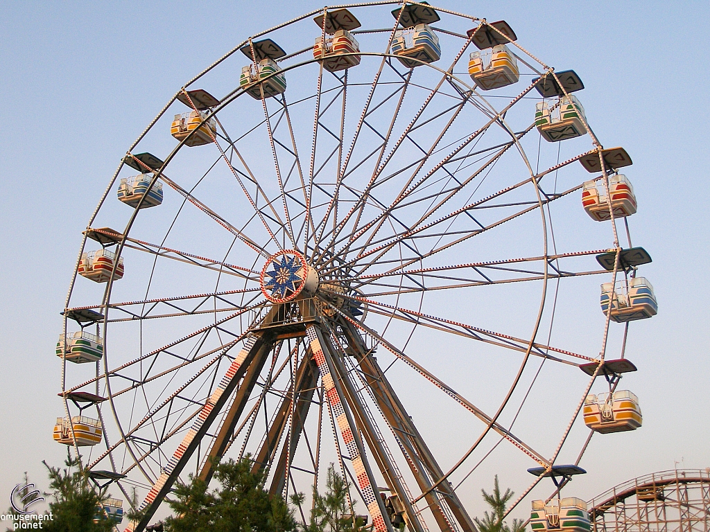 Electric Star Ferris Wheel