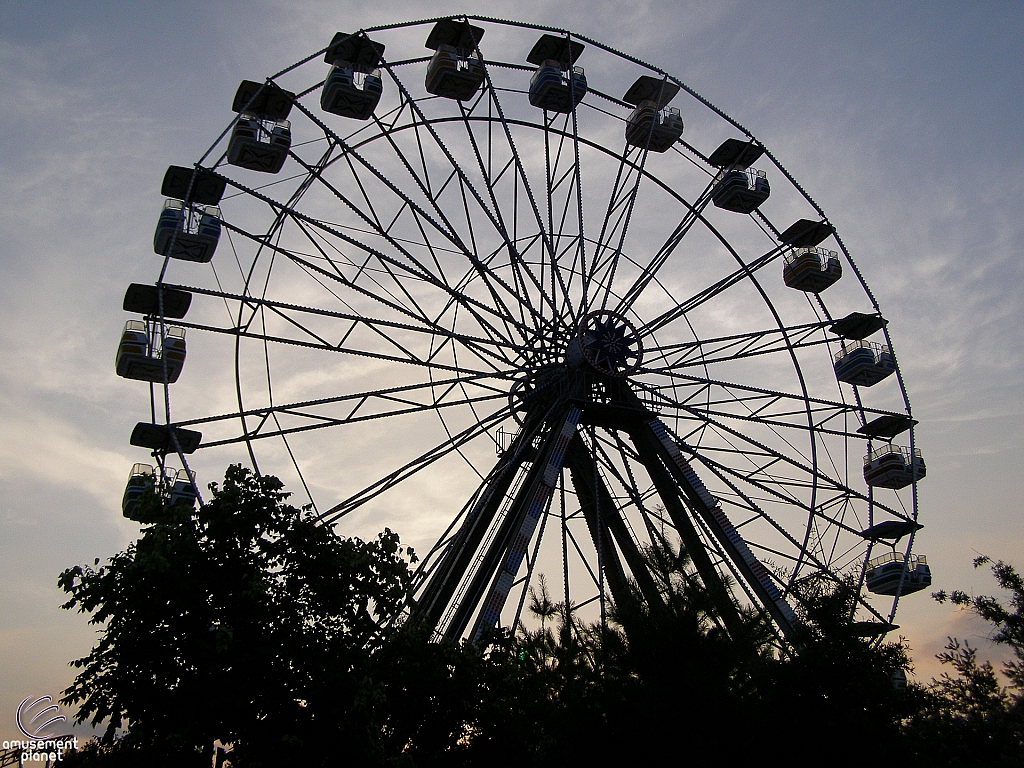 Electric Star Ferris Wheel