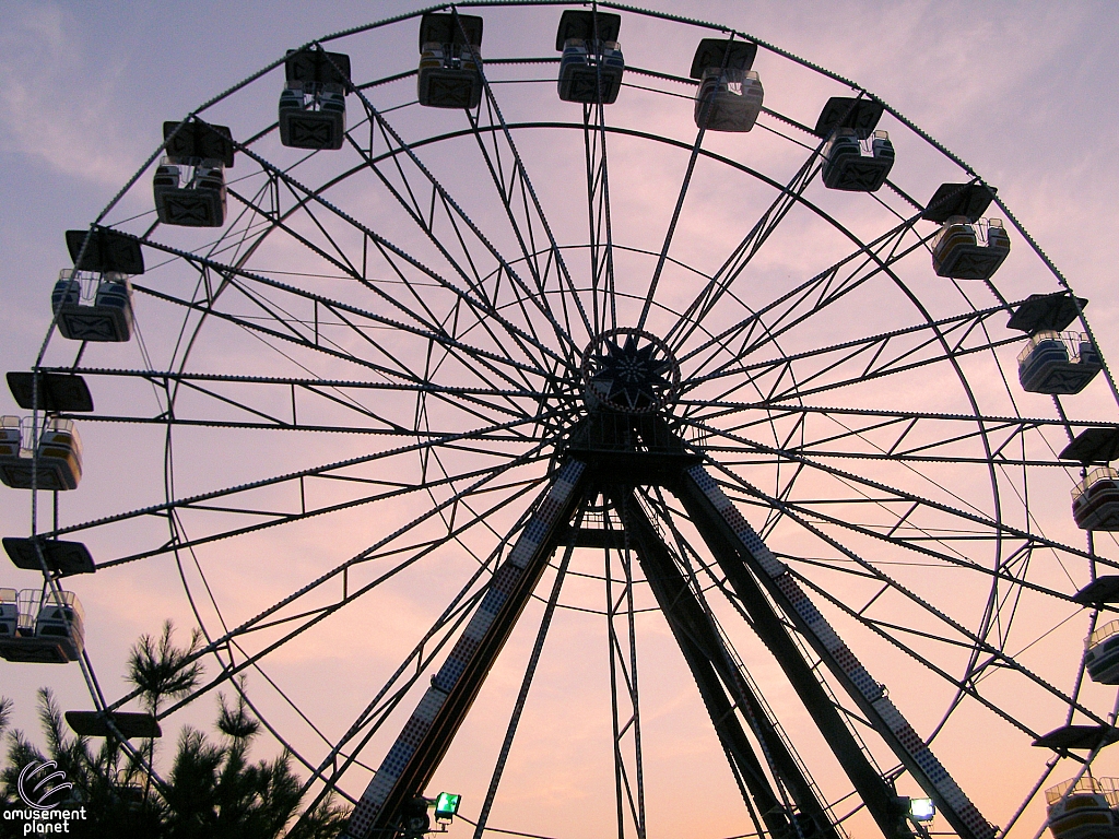 Electric Star Ferris Wheel