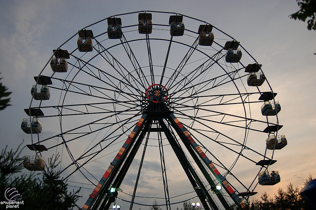 Electric Star Ferris Wheel