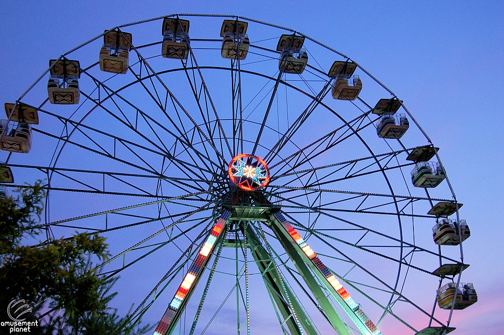Electric Star Ferris Wheel