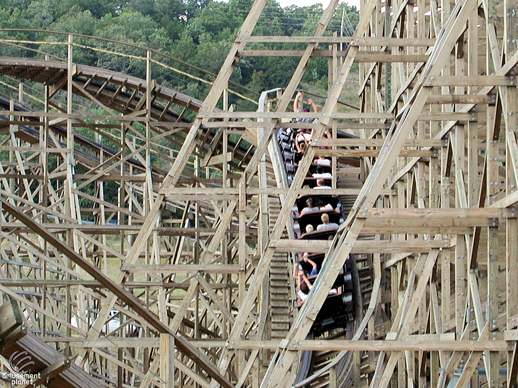 Ozark Wildcat