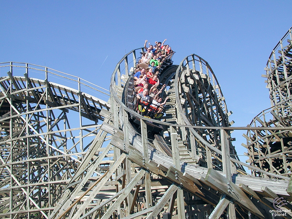 Ozark Wildcat